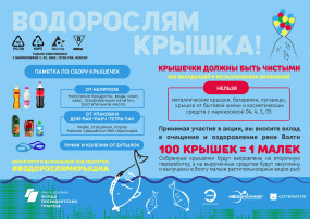 Старт восьмого сезона проекта «Водорослям крышка!». Старт восьмого сезона проекта «Водорослям крышка!». .
