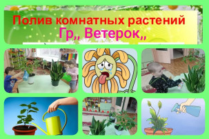 Природный мир Природный мир.